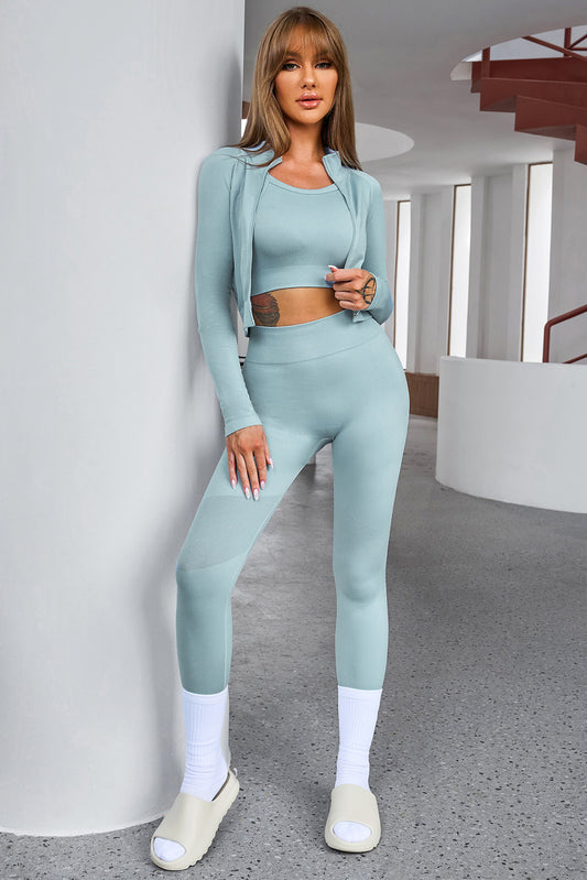 Tank Cropped Active Top and Pants Set - Tantalize Boutique