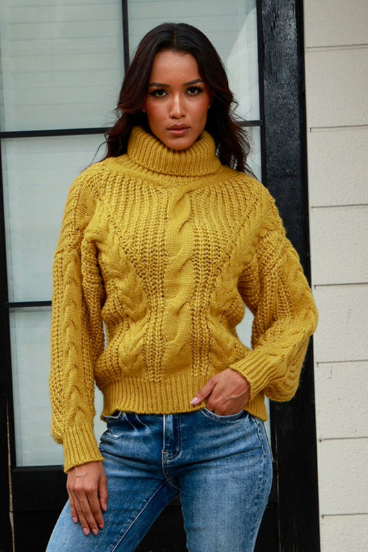 Cable-Knit Turtleneck Long Sleeve Sweater - Tantalize Boutique
