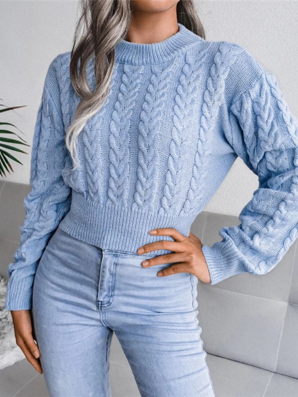 Cable-Knit Round Neck Cropped Sweater - Tantalize Boutique